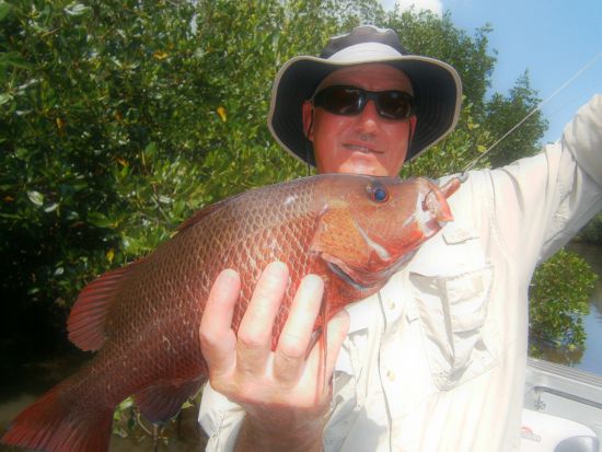 REPORT: Taking the soft option at Melville